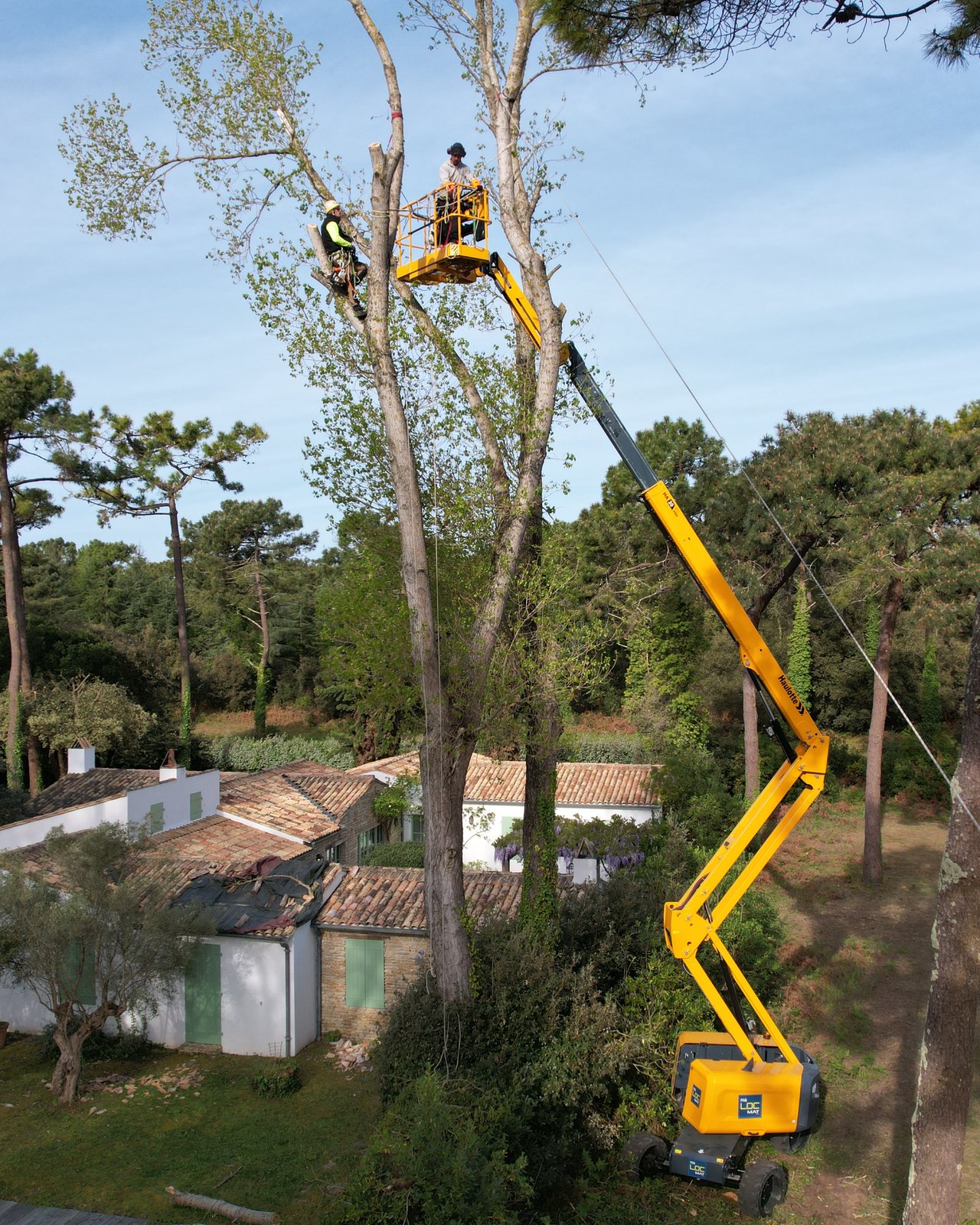 Nacelle déployée dans les arbres, au-dessus du jardin